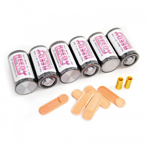 Centro Vintage BK Reedy Dummy 6 Cell Pack With Hardware (3D Printed)